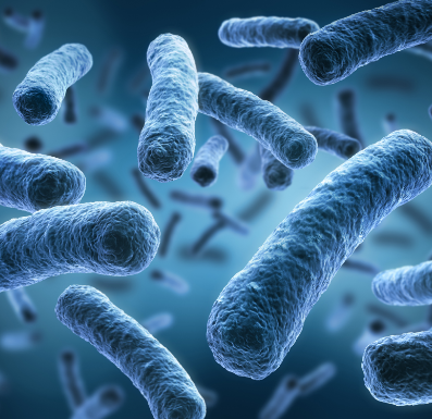 legionella_thumbnail.png